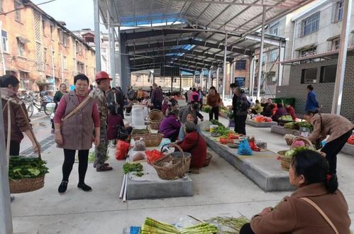 城步苗族自治縣中心農副產品臨時交易點正式啟用,市場經營環境全面優化